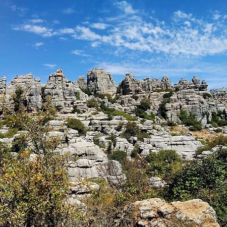 Cactus Hill - Safari Tents - Caminito Del Rey 埃尔乔罗 外观 照片
