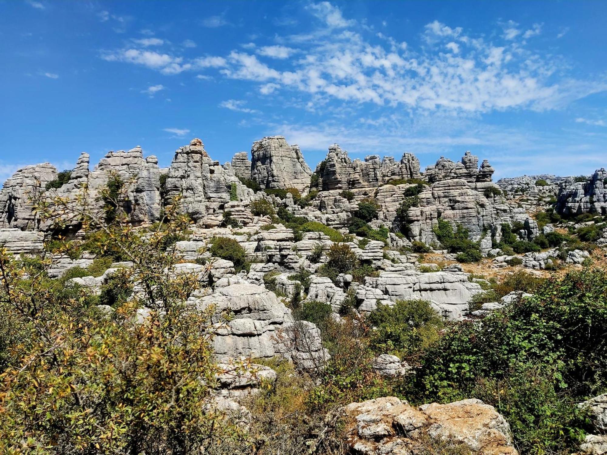 Cactus Hill - Safari Tents - Caminito Del Rey 埃尔乔罗 外观 照片